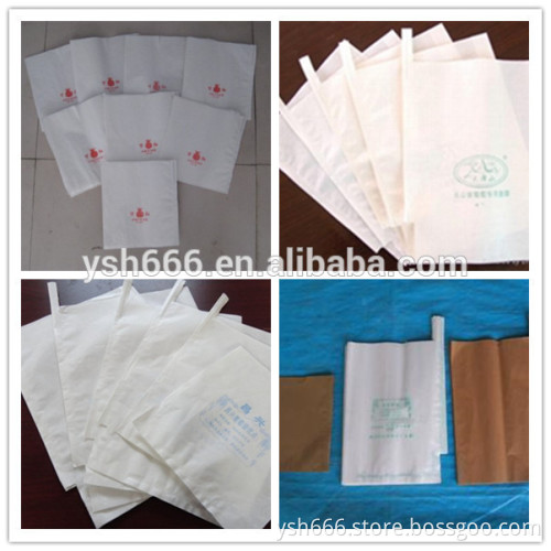 Mango /Grape/Dragon fruit protect bag factory price